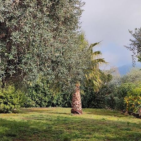 Вила Елена-Villa Elena 1 سكالا بوتامياس المظهر الخارجي الصورة